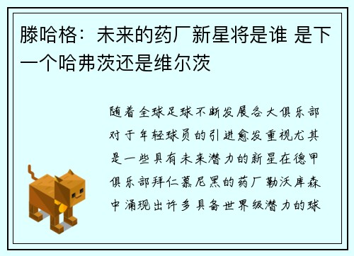 滕哈格：未来的药厂新星将是谁 是下一个哈弗茨还是维尔茨