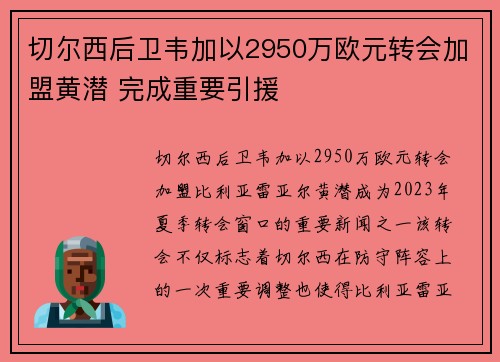切尔西后卫韦加以2950万欧元转会加盟黄潜 完成重要引援
