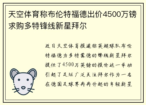 天空体育称布伦特福德出价4500万镑求购多特锋线新星拜尔